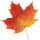 Autumn leaves - Learn how to make realistic autumn leaves with this photoshop tutorial (2006-09-23 18:19:44)