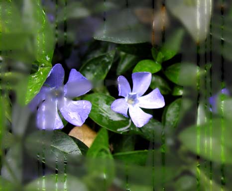 http://www.t-tutorials.com/data/Image/tutorials/Dewy%20window/dewy-window09.jpg